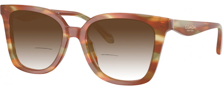 Square Striated Bark/moss Coach 6274U w/ Gradient Bifocal Reading Sunglasses View #1