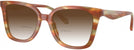Square Striated Bark/moss Coach 6274U w/ Gradient Bifocal Reading Sunglasses View #1