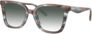 Square Striated Maple/blueberry Coach 6274U w/ Gradient Progressive Reading Sunglasses View #1