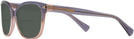 Square SHIMMER VIOLET PEACH GRADIENT Coach 8132 Bifocal Reading Sunglasses View #3