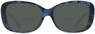 Blue Tortoise #2