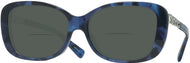 Blue Tortoise #1
