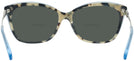 Square Blue Tortoise Coach 8305 Bifocal Reading Sunglasses View #4