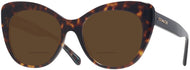 Dark Tortoise #1