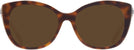 Cat Eye Tortoise/transparent Beige Coach 8365U Progressive Reading Sunglasses View #2