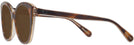 Cat Eye Tortoise/transparent Beige Coach 8365U Progressive Reading Sunglasses View #3