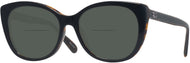 Black/dark Tortoise #1