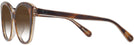 Cat Eye Tortoise/transparent Beige Coach 8365U w/ Gradient Bifocal Reading Sunglasses View #3