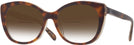 Cat Eye Tortoise/transparent Beige Coach 8365U w/ Gradient Bifocal Reading Sunglasses View #1