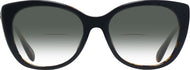 Black/dark Tortoise #2