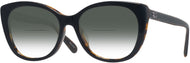 Black/dark Tortoise #1