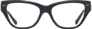 Black/dark Tortoise #2