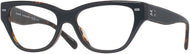 Black/dark Tortoise #1