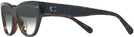 Cat Eye Black/dark Tortoise Coach 8370U Sunglasses View #3