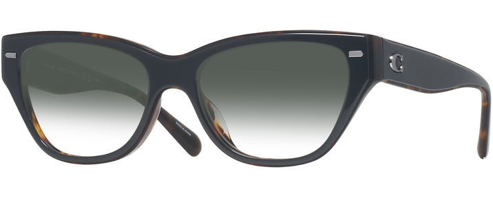 Cat Eye Black/dark Tortoise Coach 8370U Sunglasses View #1