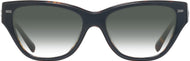 Black/dark Tortoise #2