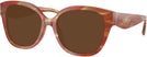 Square,Oversized Striated Chestnut Coach 8438U Progressive Reading Sunglasses View #1