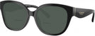 Square,Oversized Black Coach 8438U Bifocal Reading Sunglasses View #1