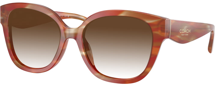 Square,Oversized Striated Chestnut Coach 8438U w/ Gradient Progressive Reading Sunglasses View #1