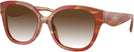 Square,Oversized Striated Chestnut Coach 8438U w/ Gradient Progressive Reading Sunglasses View #1