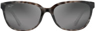 Grey Tortoise Stripe/Grey Lens #2