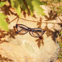 Glasses outside on a tree stump