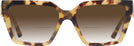 Square Yellow Havana Jimmy Choo 3017U w/ Gradient Bifocal Reading Sunglasses View #2