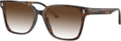 Square Havana Jimmy Choo 3038D w/ Gradient Progressive Reading Sunglasses View #1