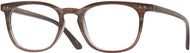 Striped Brown #1