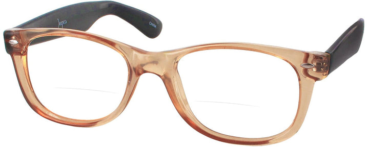 Wayfarer Rat Pack Bifocal View #1