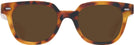 Square Honey Tortoise Kala 8mm Progressive Reading Sunglasses View #2