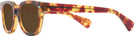 Square Honey Tortoise Kala 8mm Progressive Reading Sunglasses View #3