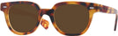 Square Honey Tortoise Kala 8mm Progressive Reading Sunglasses View #1