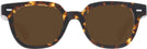 Square Tortoise Kala 8mm Progressive Reading Sunglasses View #2