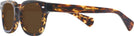 Square Tortoise Kala 8mm Progressive Reading Sunglasses View #3