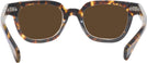 Square Tortoise Kala 8mm Progressive Reading Sunglasses View #4