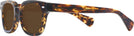 Square Tortoise Kala 8mm Bifocal Reading Sunglasses View #3