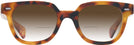 Square Honey Tortoise Kala 8mm w/ Gradient Bifocal Reading Sunglasses View #2