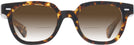 Square Tortoise Kala 8mm w/ Gradient Bifocal Reading Sunglasses View #2