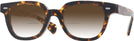 Square Tortoise Kala 8mm w/ Gradient Bifocal Reading Sunglasses View #1