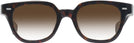 Square Classic Tortoise Kala 8mm w/ Gradient Progressive Reading Sunglasses View #2