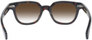 Square Classic Tortoise Kala 8mm w/ Gradient Progressive Reading Sunglasses View #4