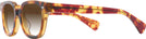 Square Honey Tortoise Kala 8mm w/ Gradient Progressive Reading Sunglasses View #3