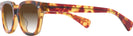 Square Honey Tortoise Kala 8mm w/ Gradient Progressive No-Line Reading Sunglasses View #3