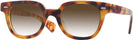 Square Honey Tortoise Kala 8mm w/ Gradient Progressive No-Line Reading Sunglasses View #1
