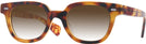 Square Honey Tortoise Kala 8mm w/ Gradient Progressive Reading Sunglasses View #1