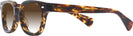 Square Tortoise Kala 8mm w/ Gradient Progressive No-Line Reading Sunglasses View #3