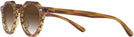 Round Honey Brown Kala Arty w/ Gradient Progressive Reading Sunglasses View #3