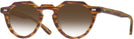 Round Honey Brown Kala Arty w/ Gradient Progressive Reading Sunglasses View #1