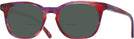 Square Razzmatazz Kala Buddy Bifocal Reading Sunglasses View #1